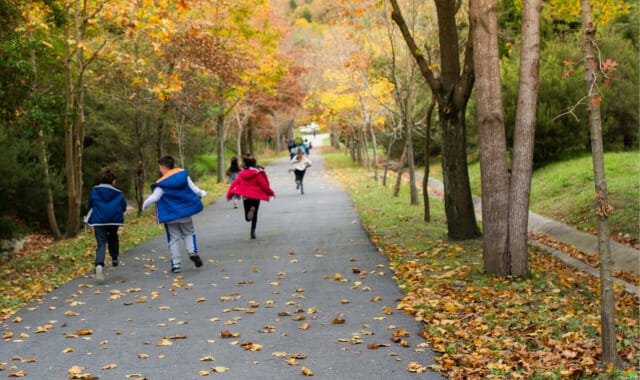 Kids running in the fall.